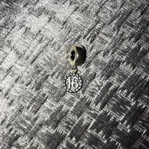16 Pandora Charm